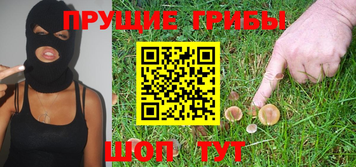 Черняховск  Псилоцибиновые грибы GOLDEN TEACHER  Вход с VPN 