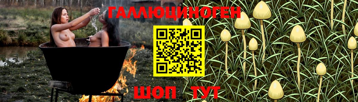 Псилоцибиновые грибы Magic Shrooms Черняховск